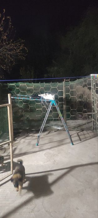 Янгиюль Продажа Участок 3 сотки 5 комнат Оазис Аквапарк