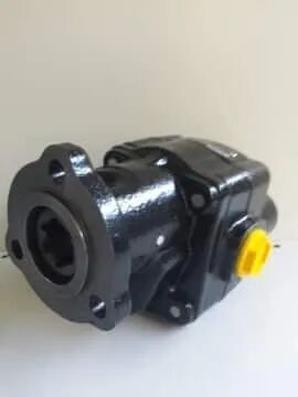 Pompă hidraulică Apageo Pompa hidraulică FP2025 B0 13 T1 L Gege în