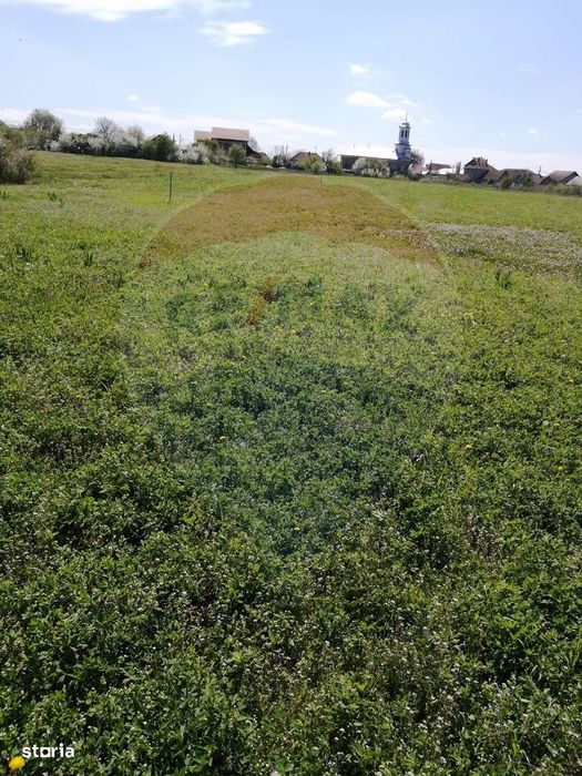 De vânzare teren intravilan, 6574 mp în Leș