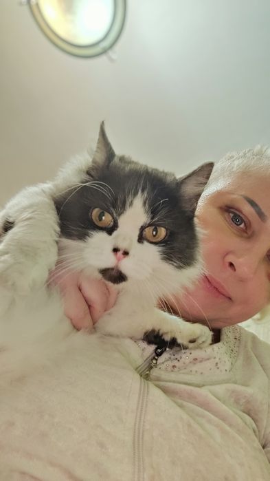 Милая кошечка ищет любящие ручки!