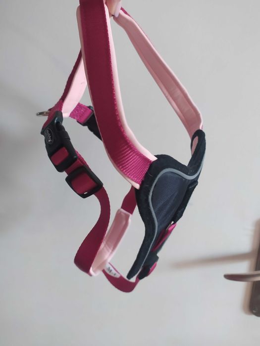 Нагръдник за куче