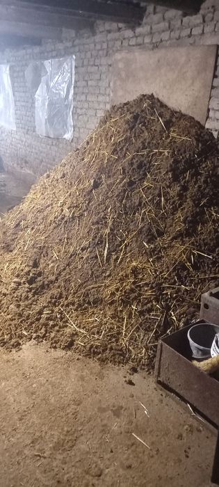 Mol gongi tekinga bervoraman