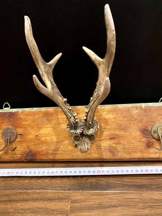 Закачалка от еленски рога