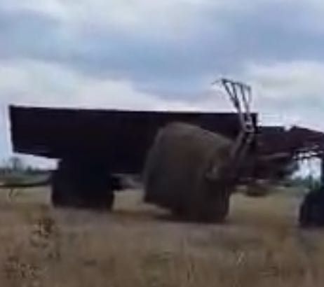 Сено рулоны разнотравье 10000 самовывоз