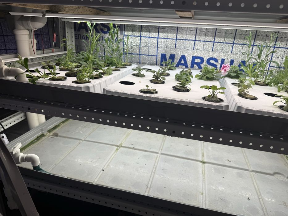 Продам стеллажи для гидропоники
