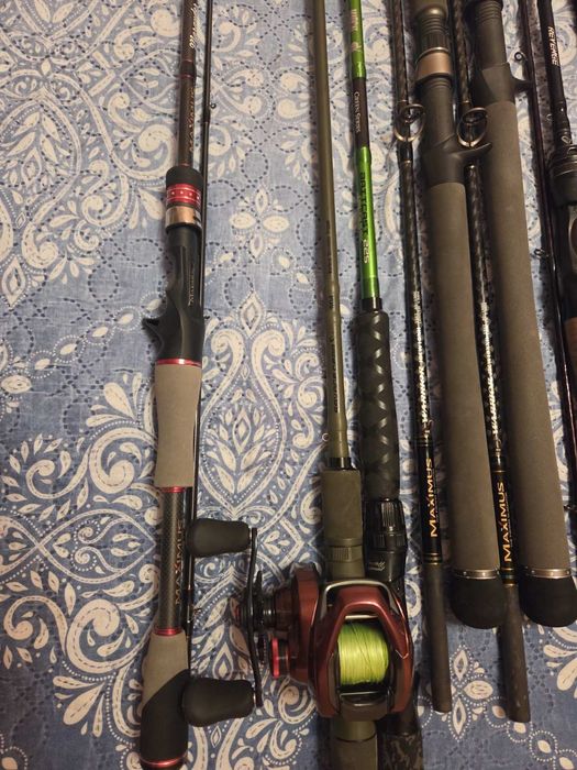 Shimano scorpion, DAM, MADCAT, SAVGE GEAR, MAXIMUS GLADIATOR, Golden Catch Inquisitor,