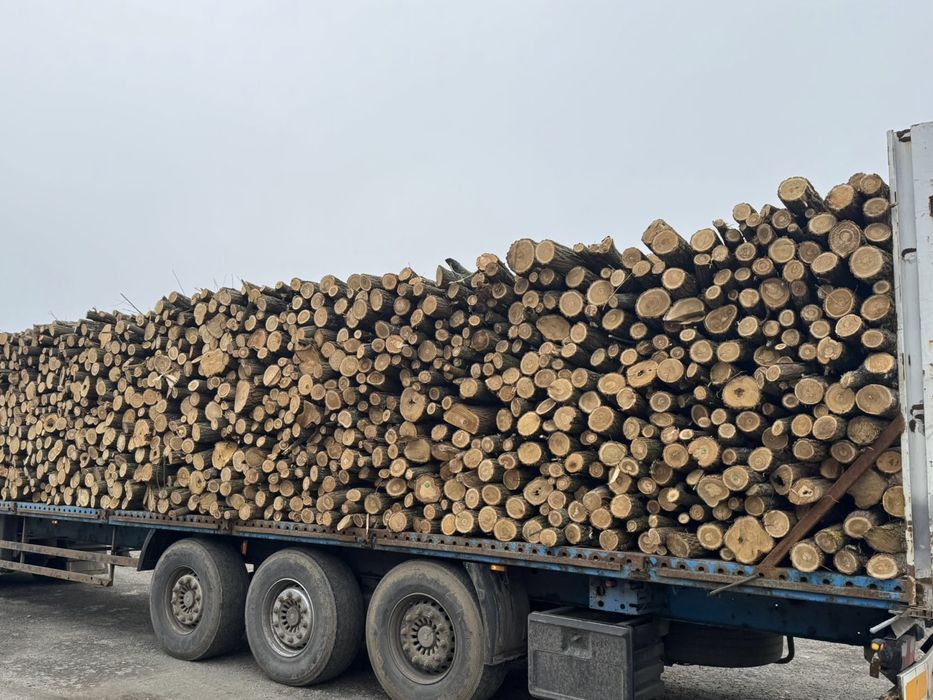 Lemn de foc EN GROSS la nivel de tir