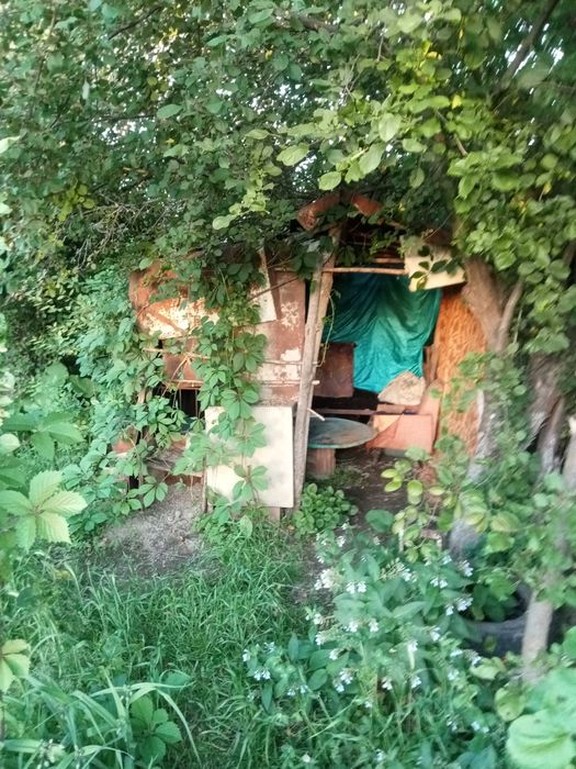 Продам дачу 12 соток