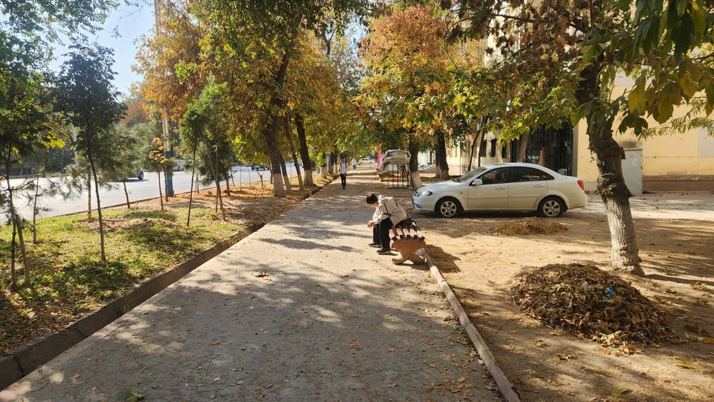 Продаются витрины стилажи с магазина