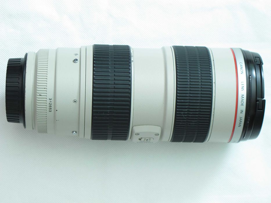 Canon 100mm f/2.8L Macro, 70-200mm f/2.8L IS, 135mm f/2L