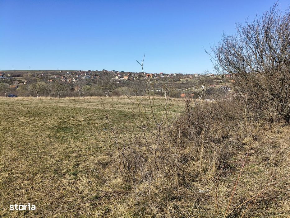Teren de vânzare Daia Nouă Sibiu - Ideal casă sau cabană