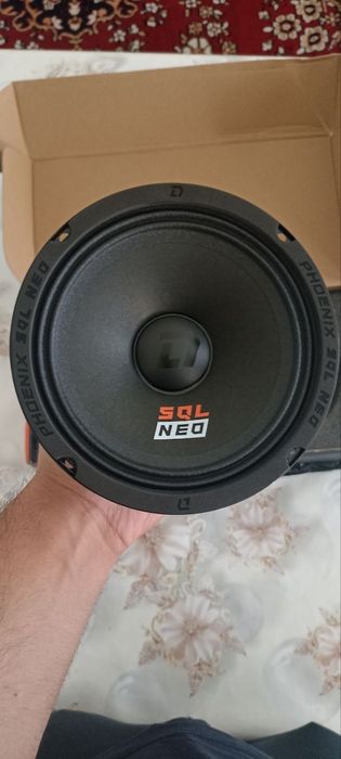 Эстрадные колонки DL Audio phoenix sql neo 165