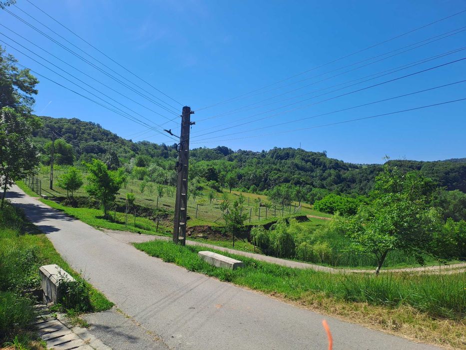 Vind livada 120 pomi fructiferi mixt, intravilan,3400 m,linga asfalt posibilitate constructie casa,ingradita,mai multe informati in privat 0726083166