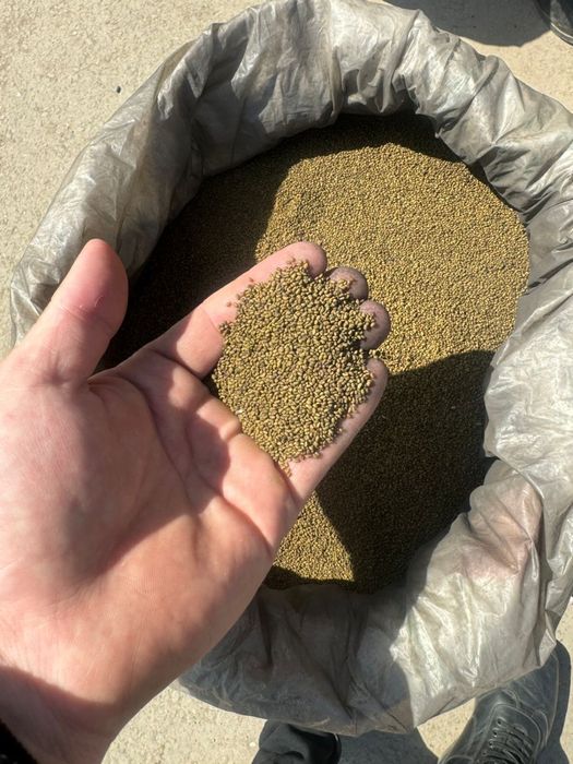 Жоңышқа срочно сатылады!!!