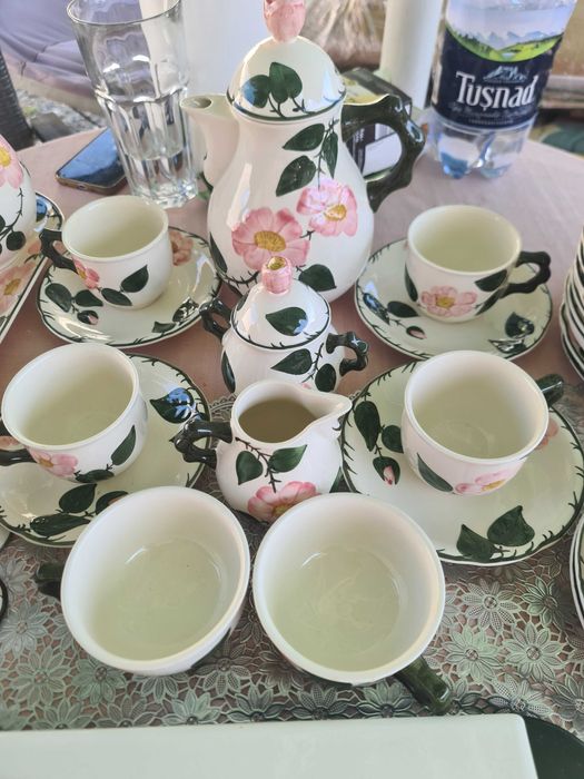 Wild-Rose  si Vileroy&Boch pictate de mana 41 de piese +plita electric