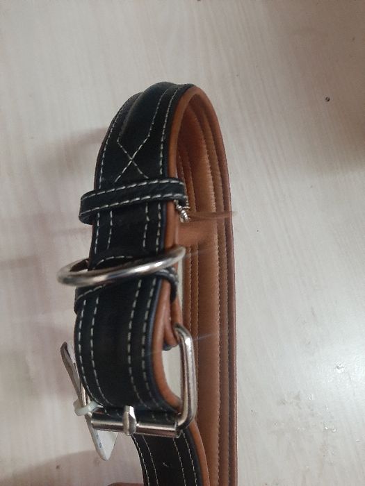 Кожени каишки и метален повод за куче.