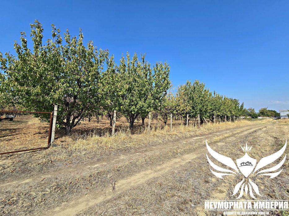 Продавам земя 9600кв.м. на влизане в Асеновград зад Газпром