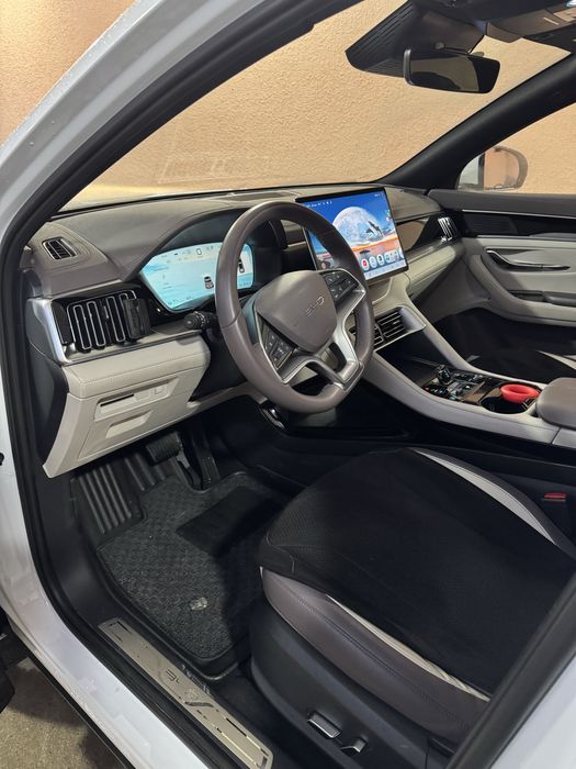 BYD chenpion restaling