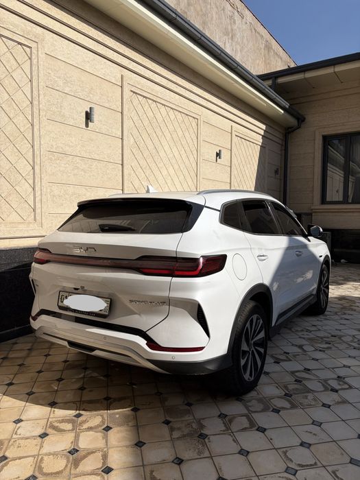 Byd chempion 110 km