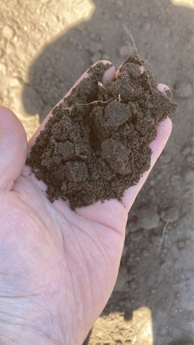 Чернозем, перегной