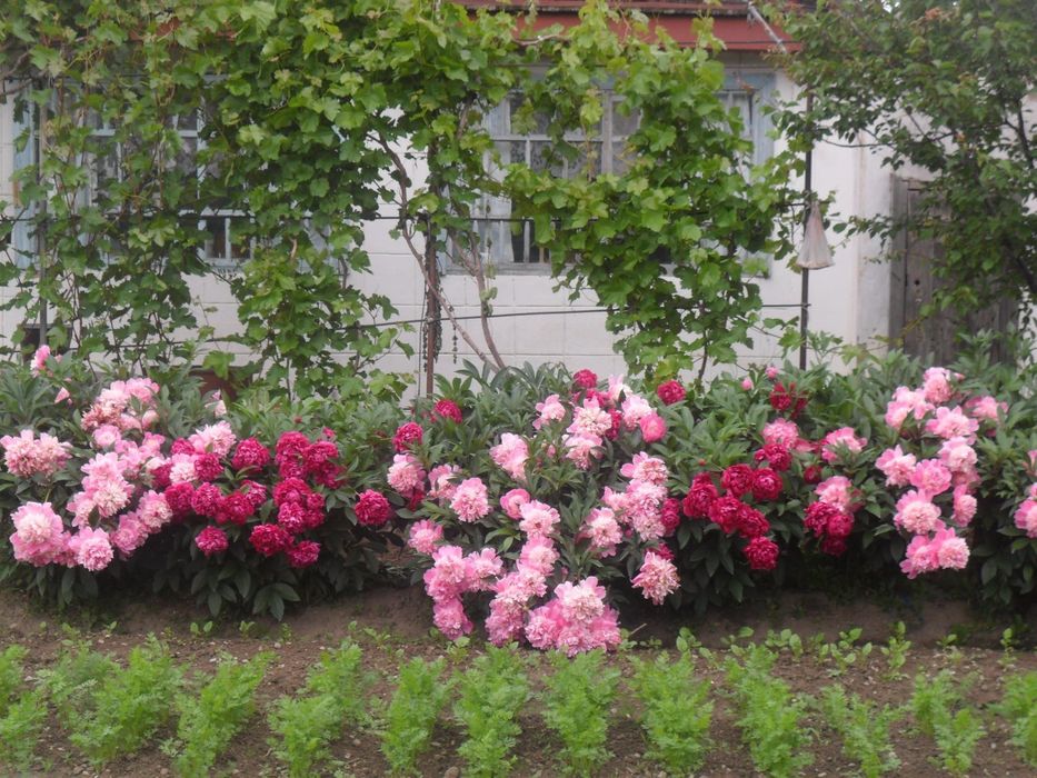 Продается дом в районе Жибек жолы