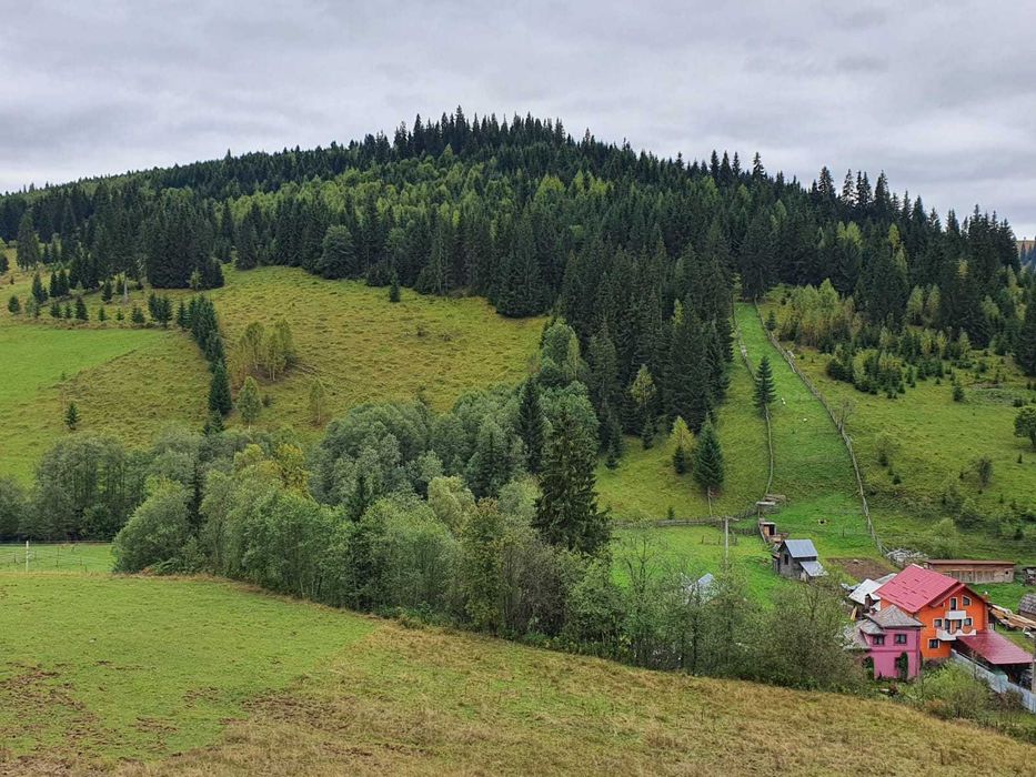 Teren  Bucovina pt pensiune
