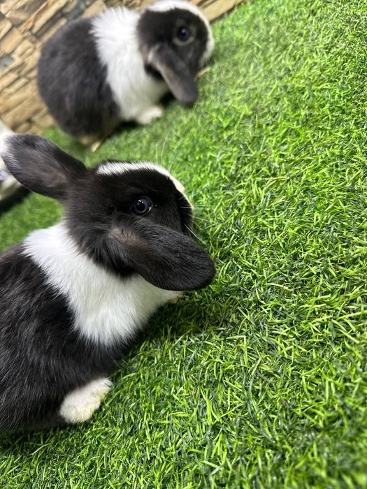 Подарок для детей