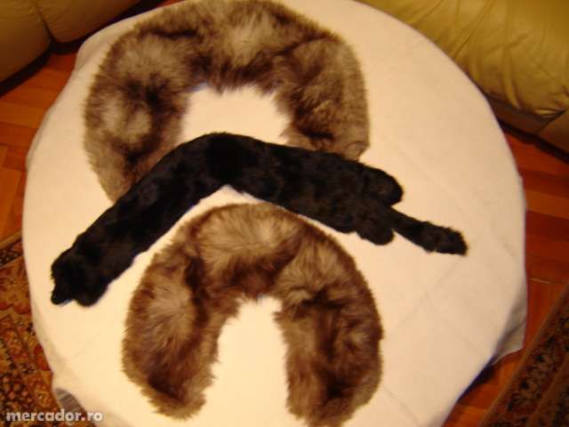 Vand gulere si toca polara,argintie,bizam si nurci