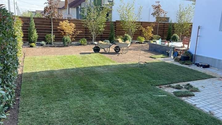 Gazon și plante ornamentale