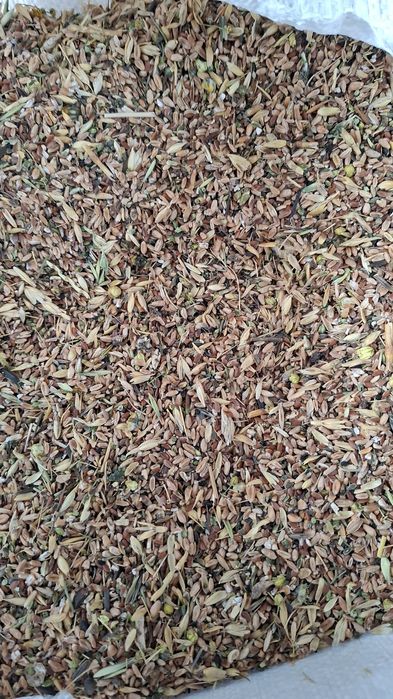 Sechka har xil turdagi sifatli hamyon bob