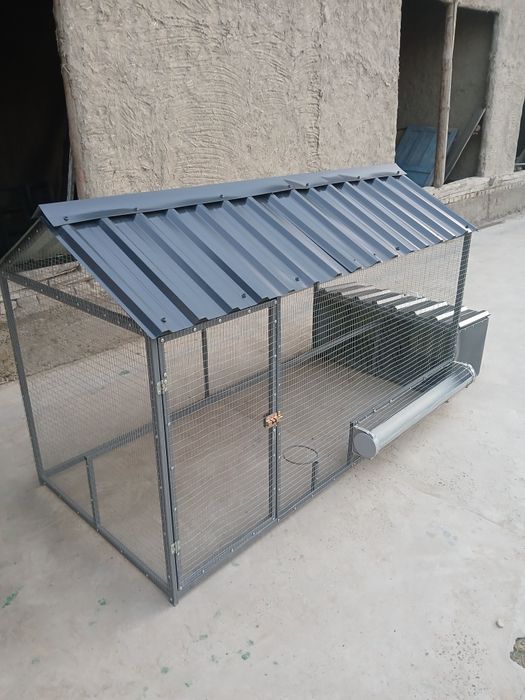 Tavuq katak sotuvda