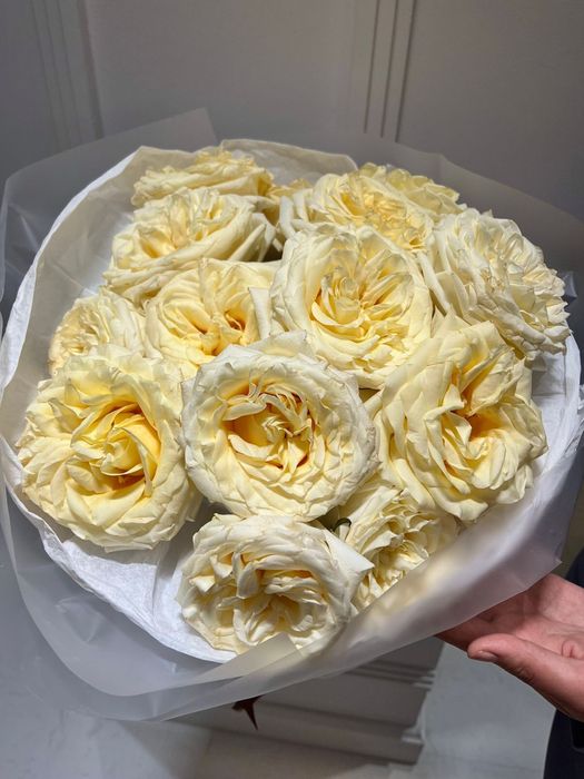 Пионовидные розы