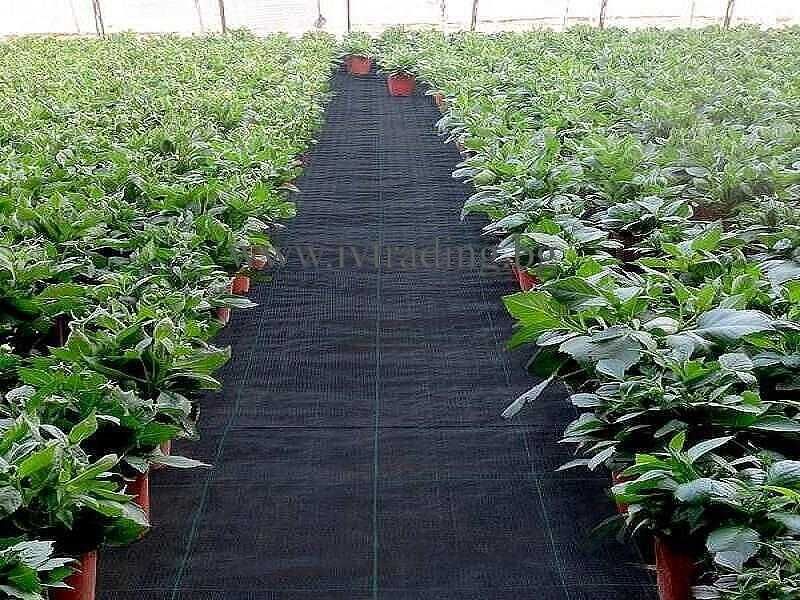 Тъкан против плевели/Зебло - 105 гр. бял, зелен и черен