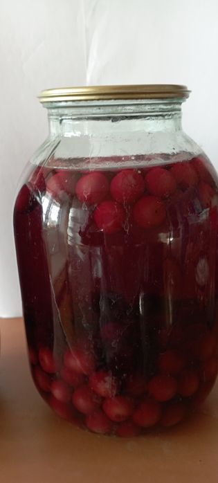 Компот из домашней вишни