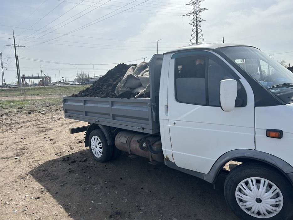 Перегой перегной перегной