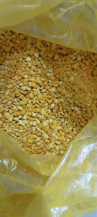 Vând polen crud -2026