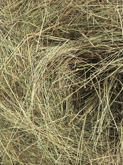 Baloți de lucernă uscată,înfoliată,de fân și baloți de paie de vânzare