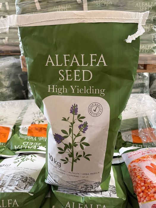 Beda urug’i TURKIY OPTIM