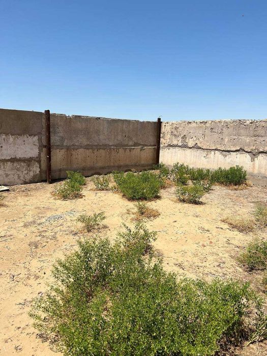 Животноводческая ферма (17.2 га) қорамол фермаси (17.2 ga)