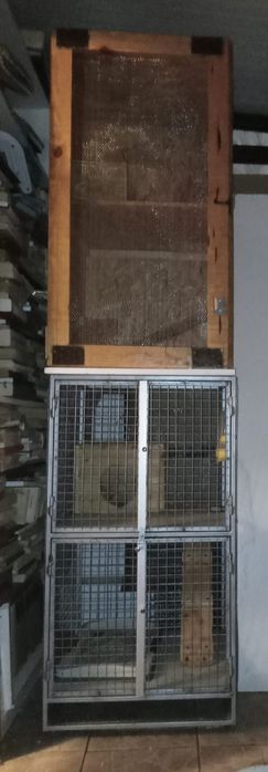 Vand cusca pentru animalut " pretențios"