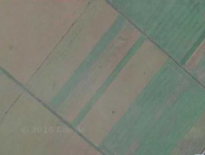 Proprietar vand 2.88 ha teren agricol Hitias (Buzias) - 28.500 €