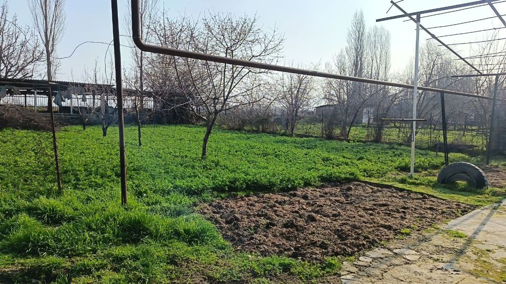 YuqoriChirchiq Tumani Qirsadaq maxallasi birinchi linyada Joylashgan