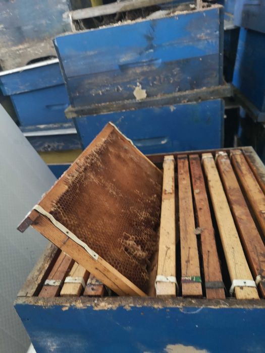 Продавам пчелни кошери