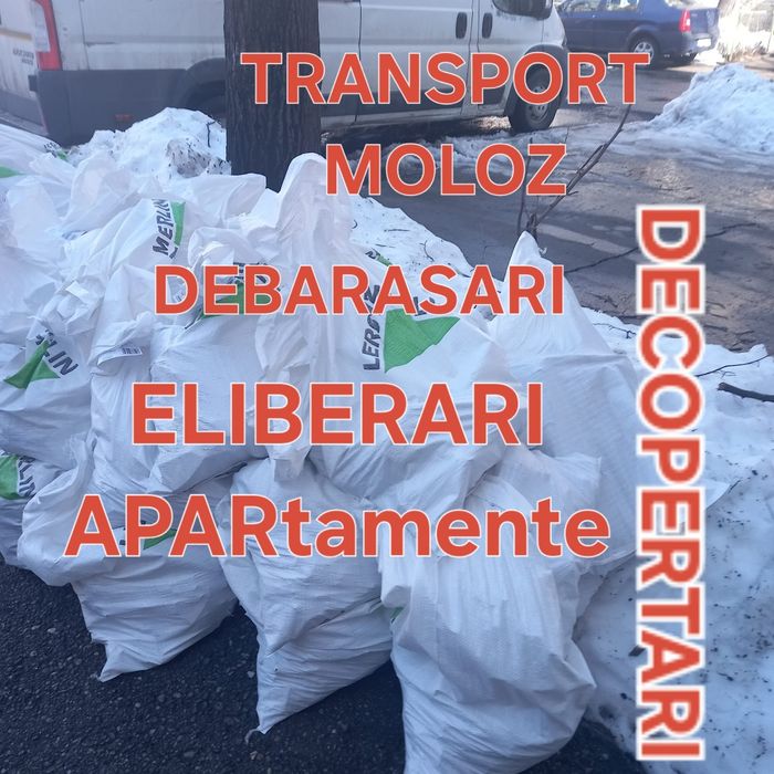 Transport moloz Debarasari