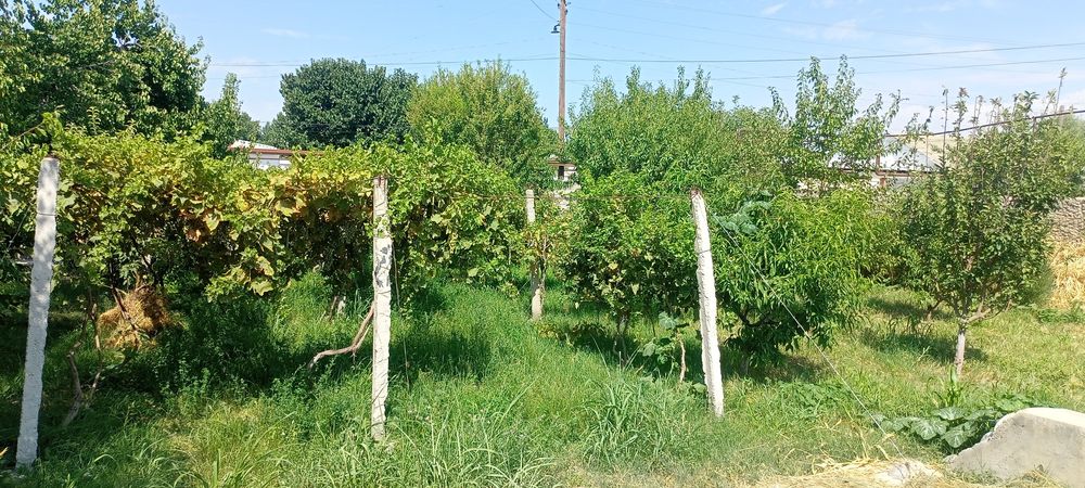 Oq ariq yer uchastka