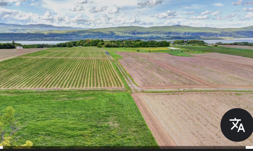 Земеделска земя с.Крупен общ. Каварна 48 д-ра