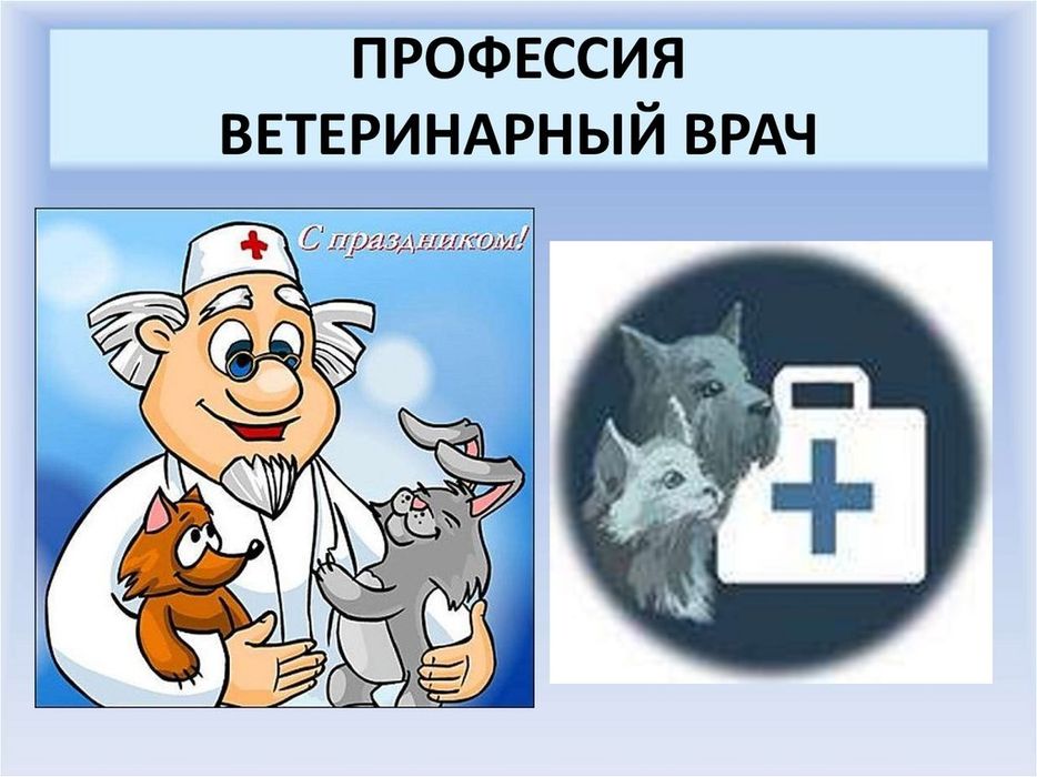 Окружающий мир 2 класс проект профессия ветеринар Окружающий мир 2 класс проект профессия ветеринар