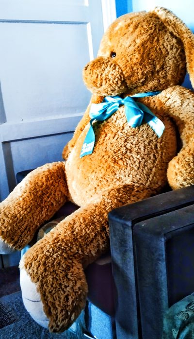 Продам Зайца Большого