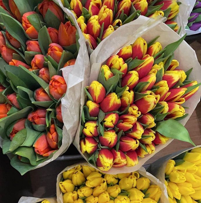 Тюльпаны с луковицами