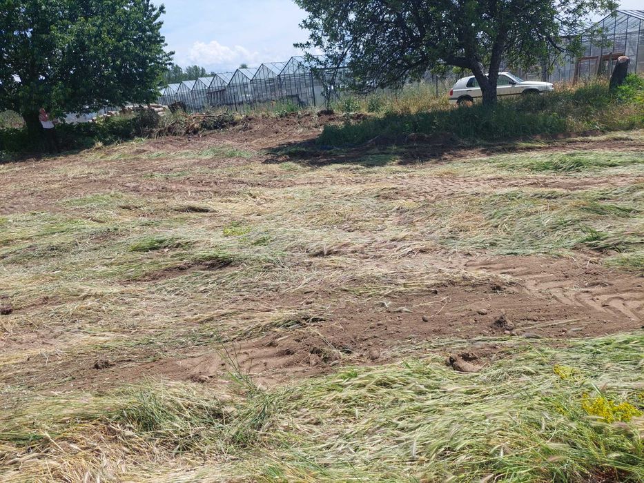 Дава се под наем Парцел в Сандански - 2500 кв.м за 800 € - Снимка #9